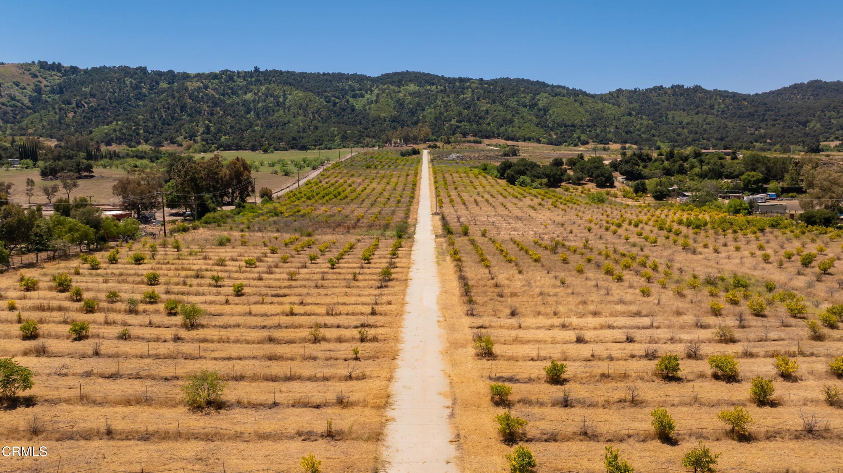 S8C_122400 Ojai Santa Paula Rd_001