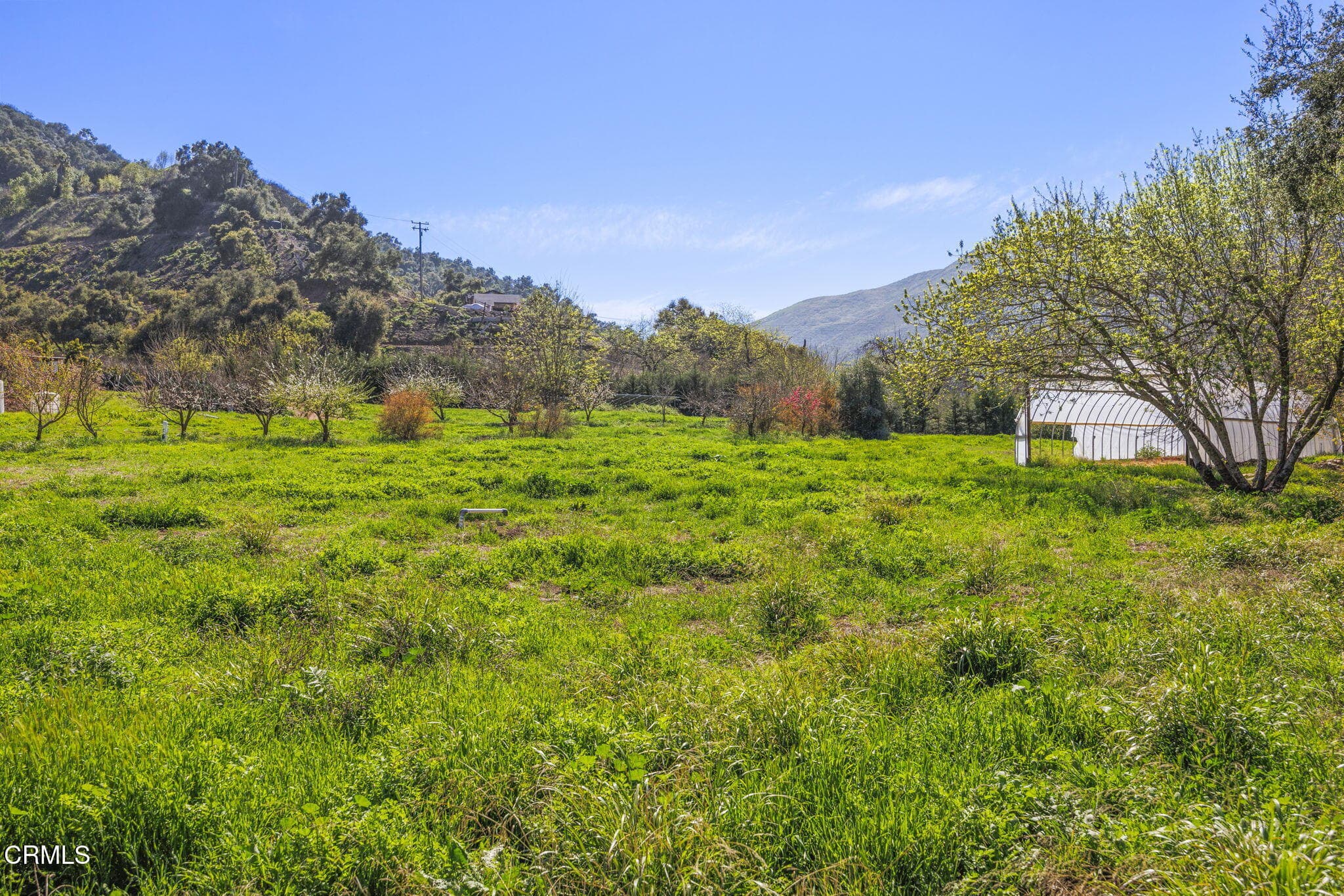 4-web-or-mls-UpmarketMedia_4620C-257